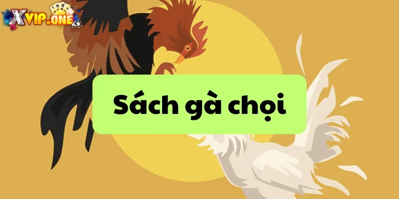 Sách gà chọi